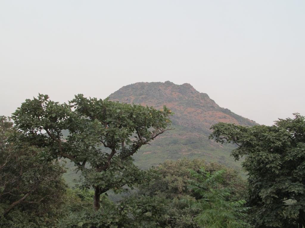 Forest Eco Lodge Mount Abu Esterno foto