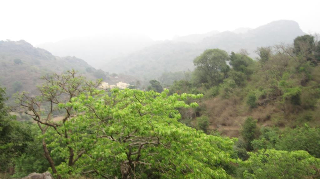 Forest Eco Lodge Mount Abu Esterno foto